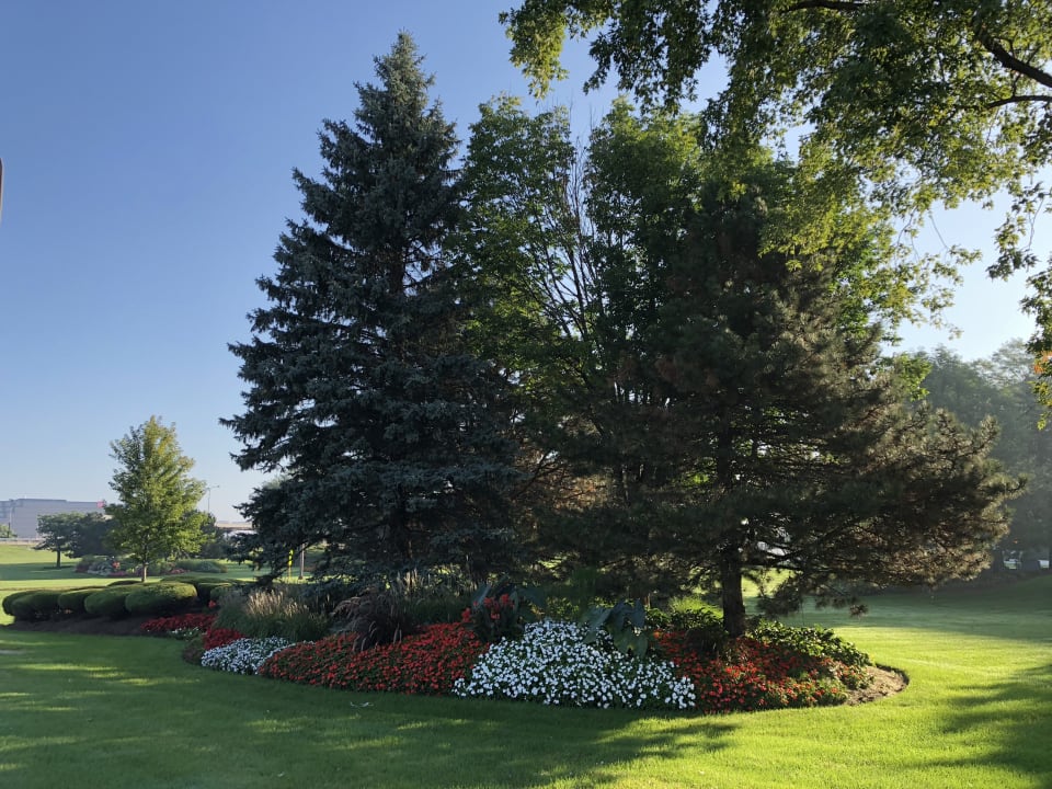Ausblick Embassy Suites Chicago O'Hare Rosemont
