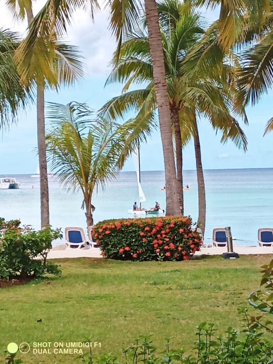 Ausblick Hotel Viva Dominicus Beach by Wyndham - All Inclusive Resort