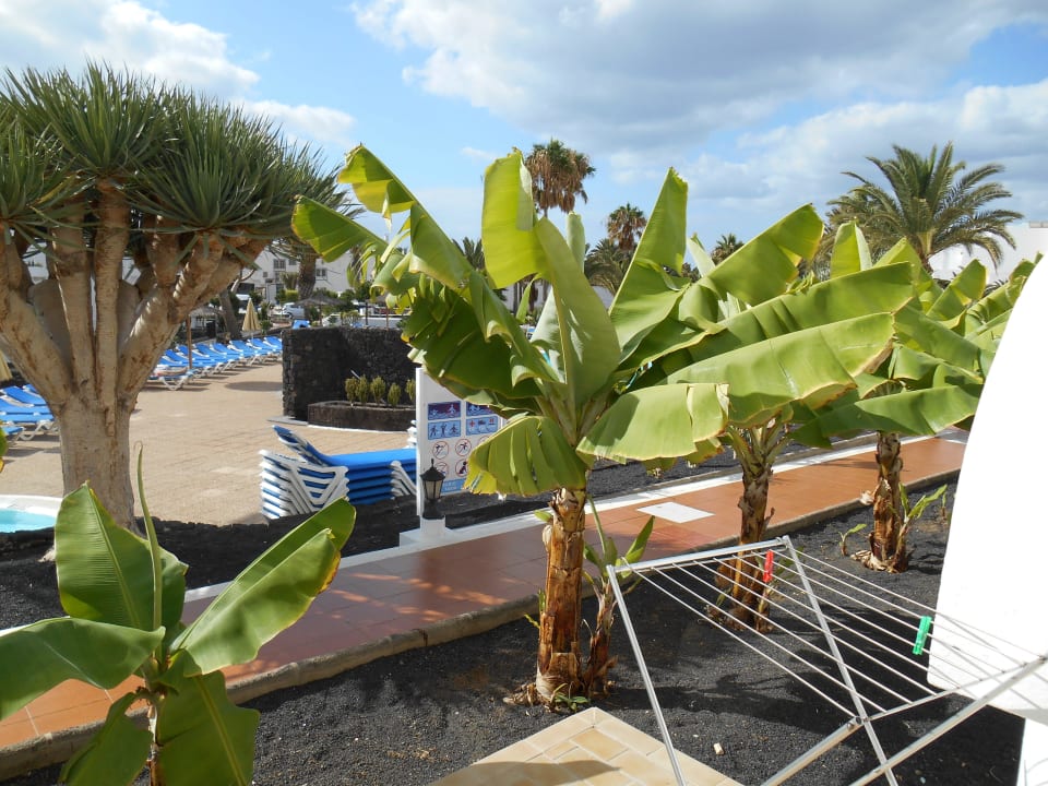 Blick vom Zimmer aus Hotel Floresta