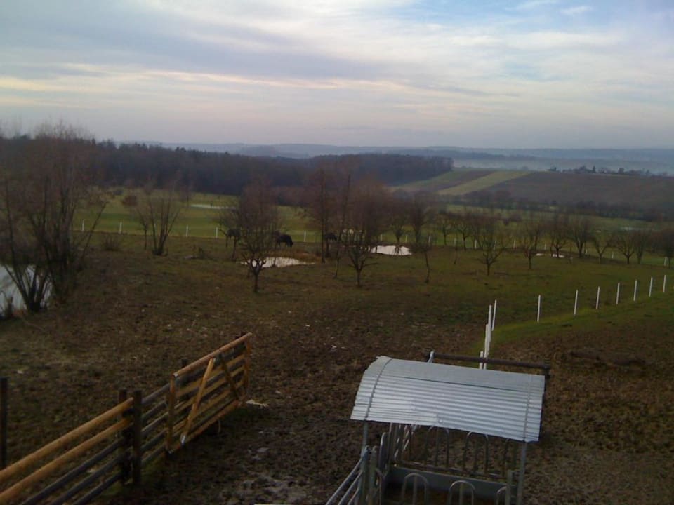 Ausblick von der Plattform Reiters Finest Family Hotel
