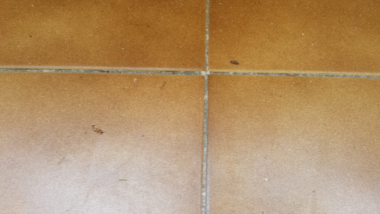 Zimmer Bei Juan Playa Blanca