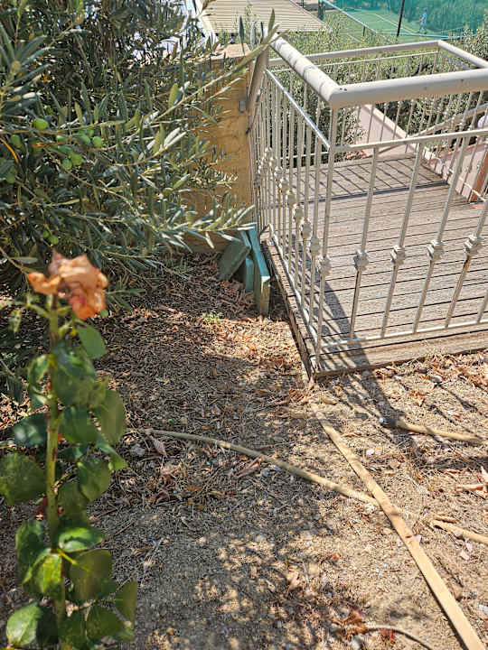 Sonstiges Akrathos Beach Hotel