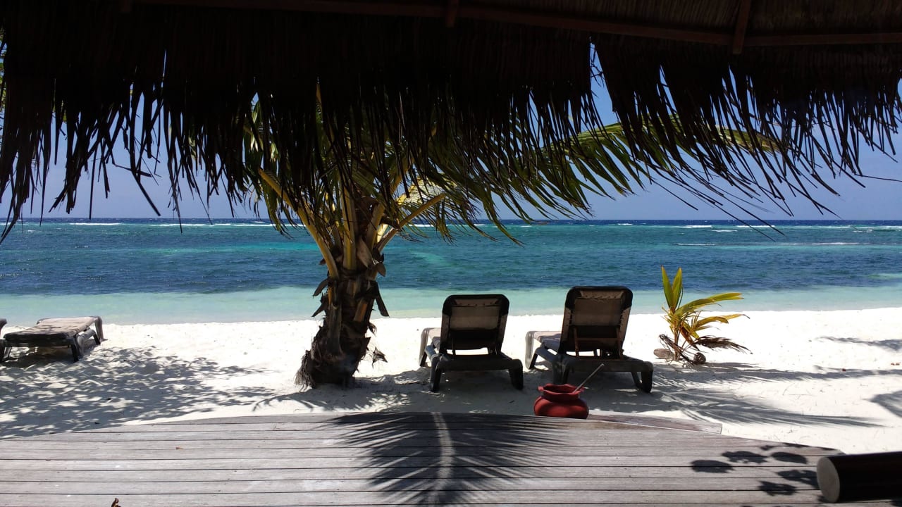 Beachbungalow 439 Kuredu Island Resort & Spa