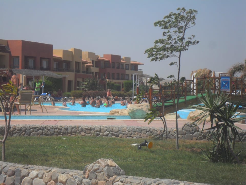Pool Malikia Resort Abu Dabbab