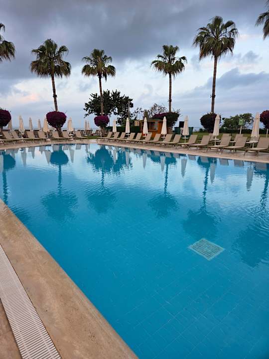 Pool Falcon Hotel