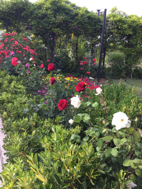 GARTEN Anadolu Hotels Didim Club