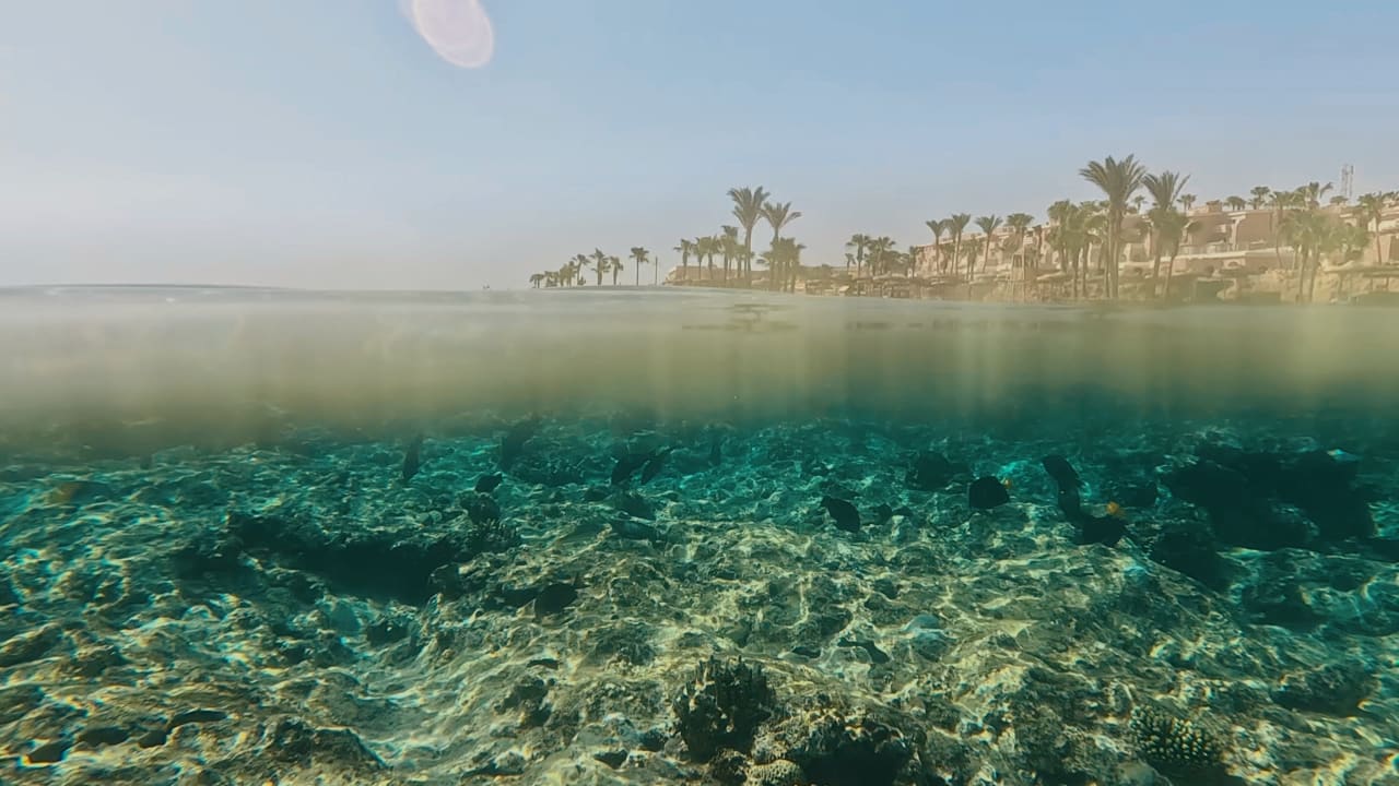 Außenansicht Pickalbatros Citadel Resort