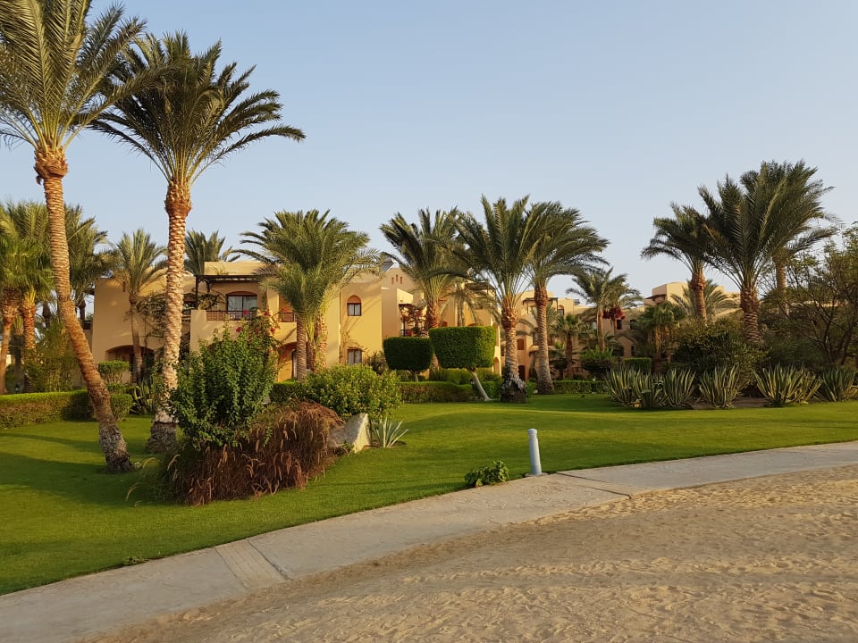 Gartenanlage Steigenberger Coraya Beach - Adults only