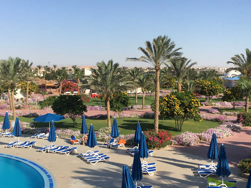 Ausblick Desert Rose