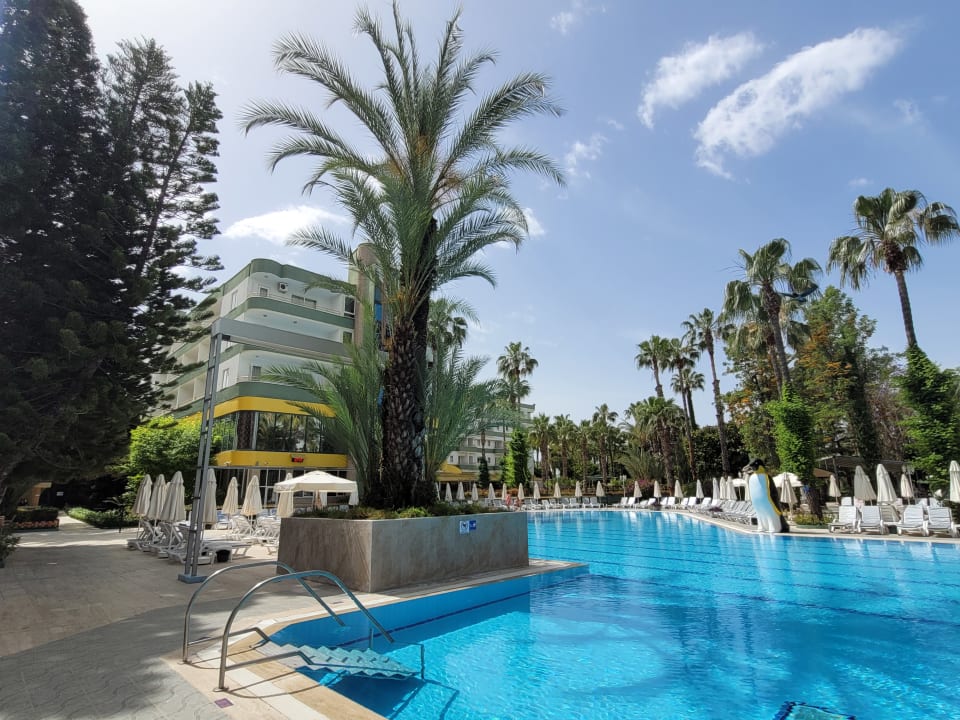 Pool Hotel Botanik Platinum
