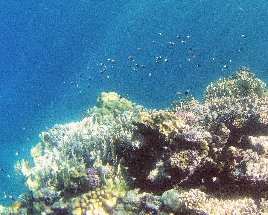 Sport & Freizeit Three Corners Sea Beach Resort