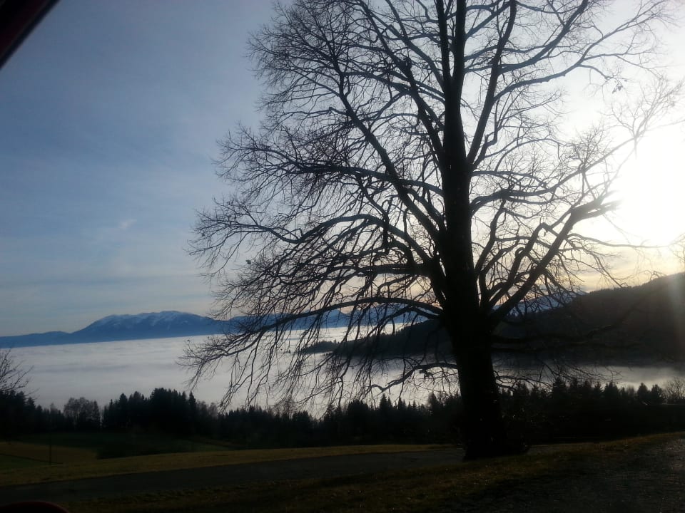 Einfach nur herrlich! Gasthof Pension Catering Hauser