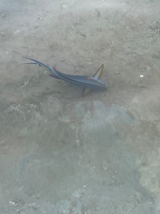 Strand SUNRISE Diamond Beach Resort - Grand Select