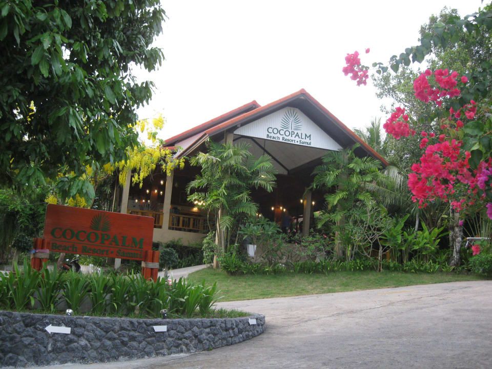 Typisch Tropen Coco Palm Beach Resort