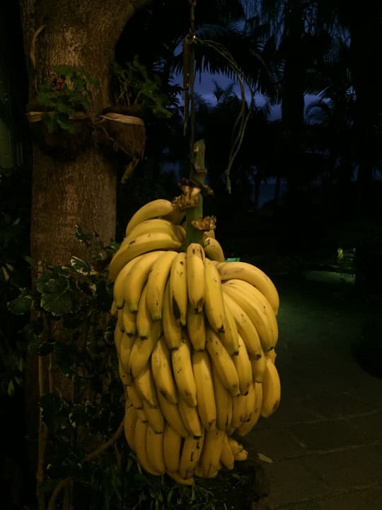 Gastro Hotel Tigaiga