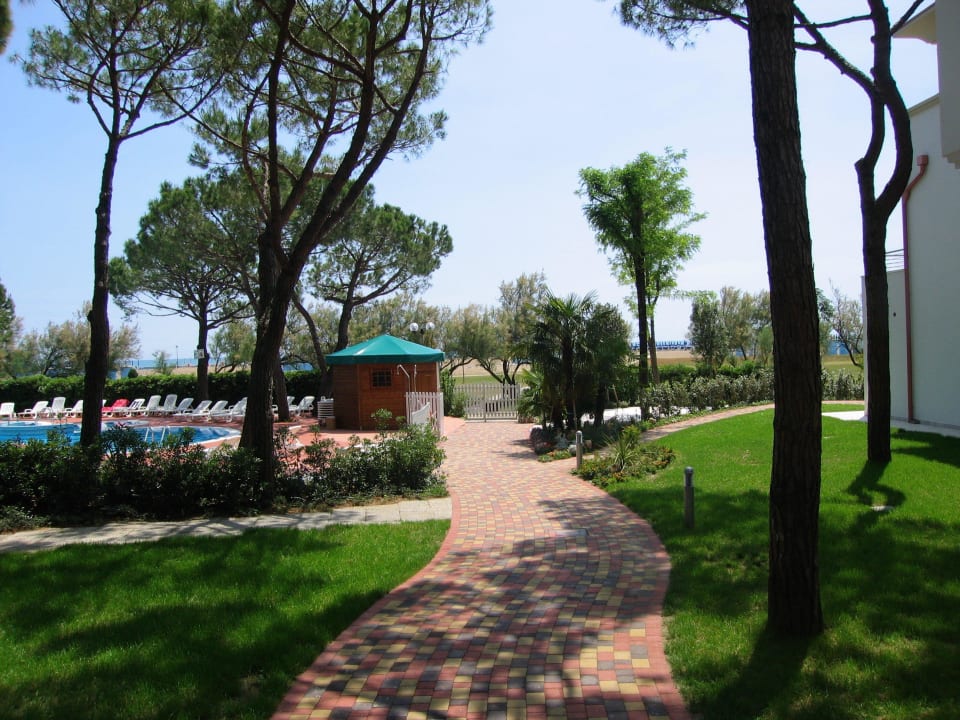 Viale verso il mare, il nostro giardino, 120 pini Park Hotel Pineta - Family Relax Resort