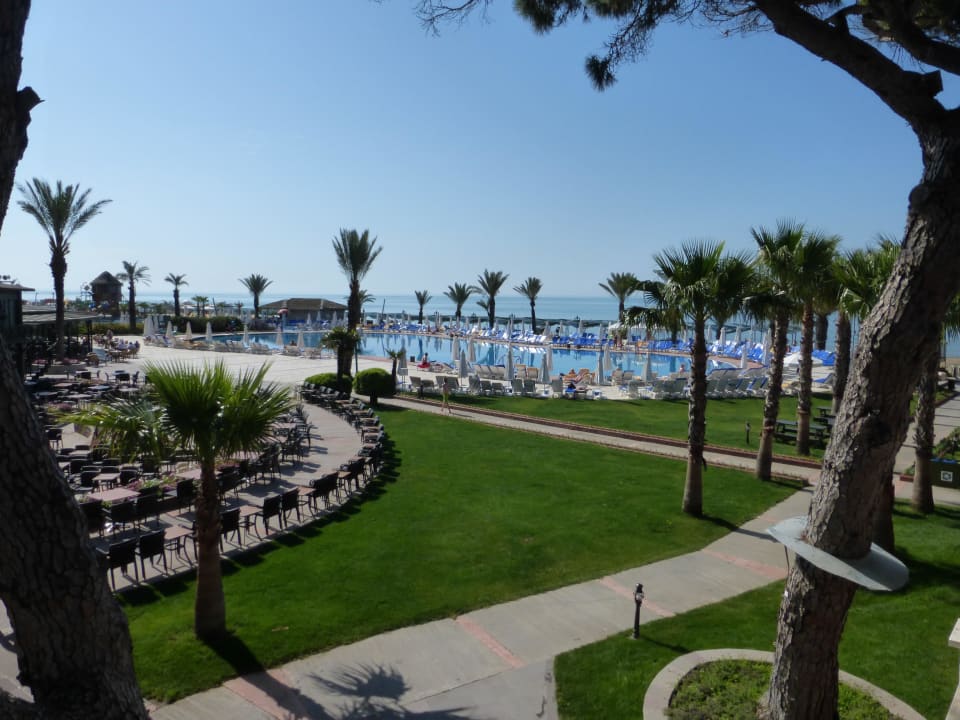 Herrlich Papillon Belvil