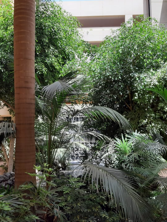 Sonstiges Hotel Beatriz Playa & Spa