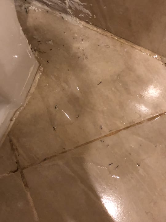 Zimmer Regina Resort and Aqua Park Hurghada