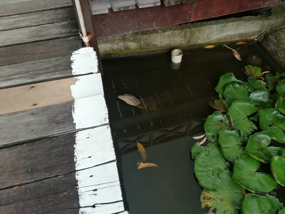 Sonstiges Guesthouse Paya Beach Spa & Dive Resort