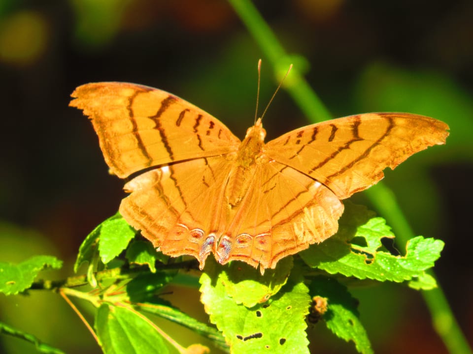 Gartenanlage Sol Rio De Luna y Mares