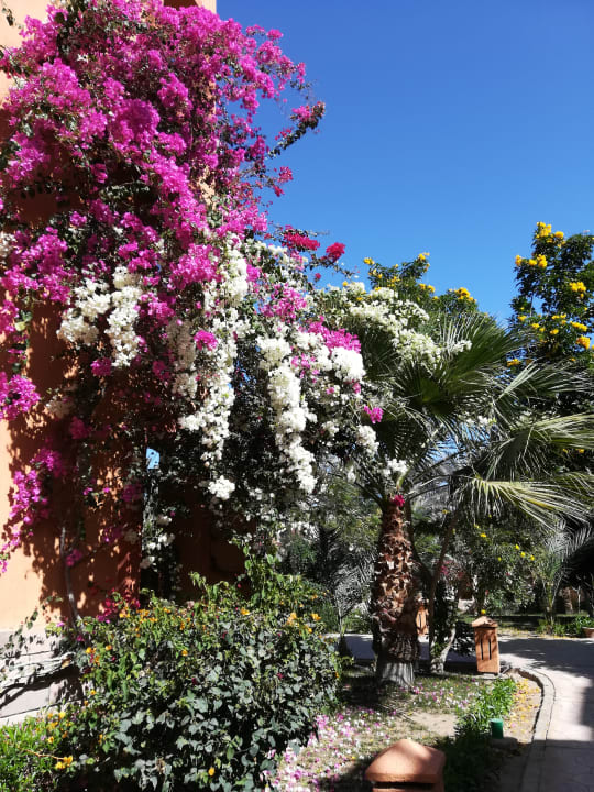 Gartenanlage Dream Lagoon Resort & Aqua Park