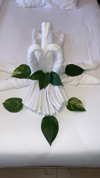 Zimmer Hotel Defne Garden