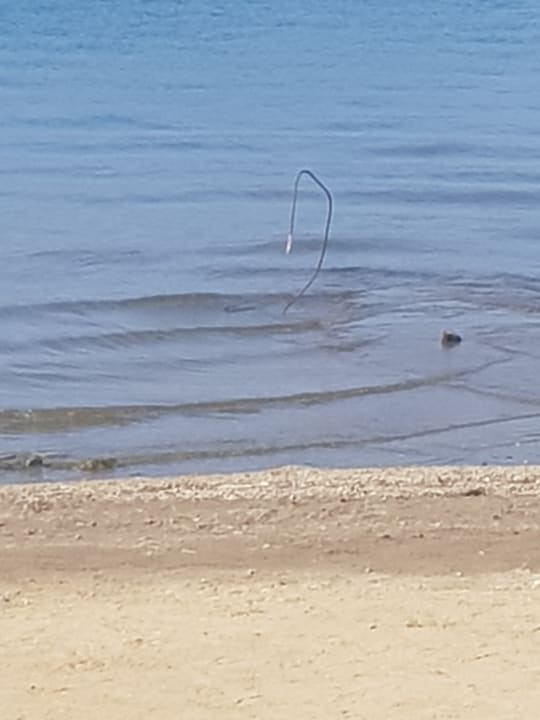 Strand Ladonia Hotels Delmare