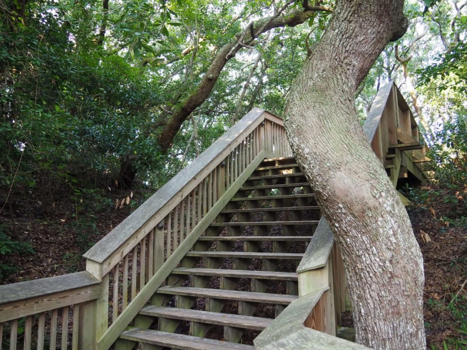 Außenansicht Hotel Hampton Suites Jekyll Island