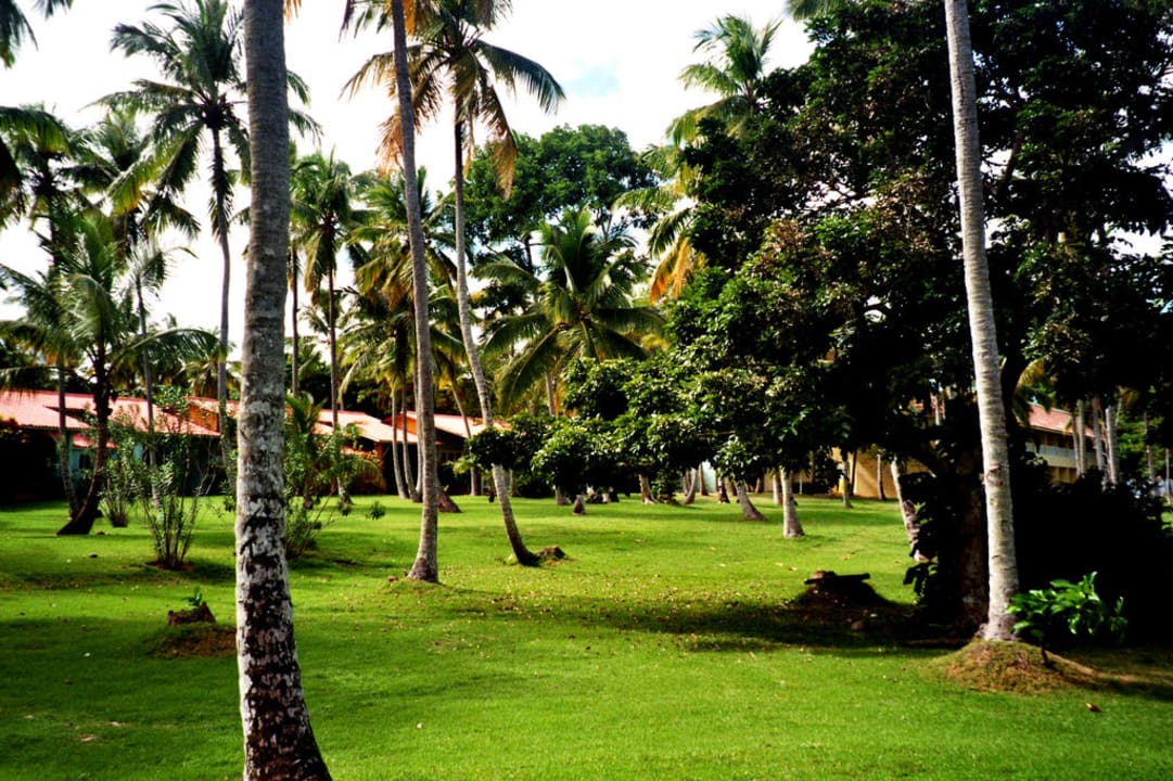 Liegewiese Wyndham Alltra Samana