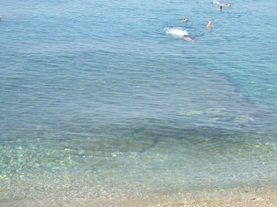 Grand Efe 6 Hotel Grand Efe