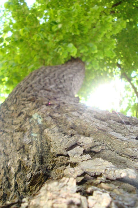 Im Garten Spa Hotel Panorama