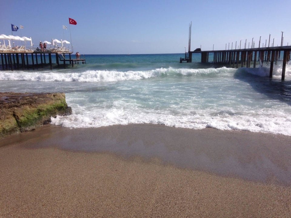 Strand Dizalya Palm Garden