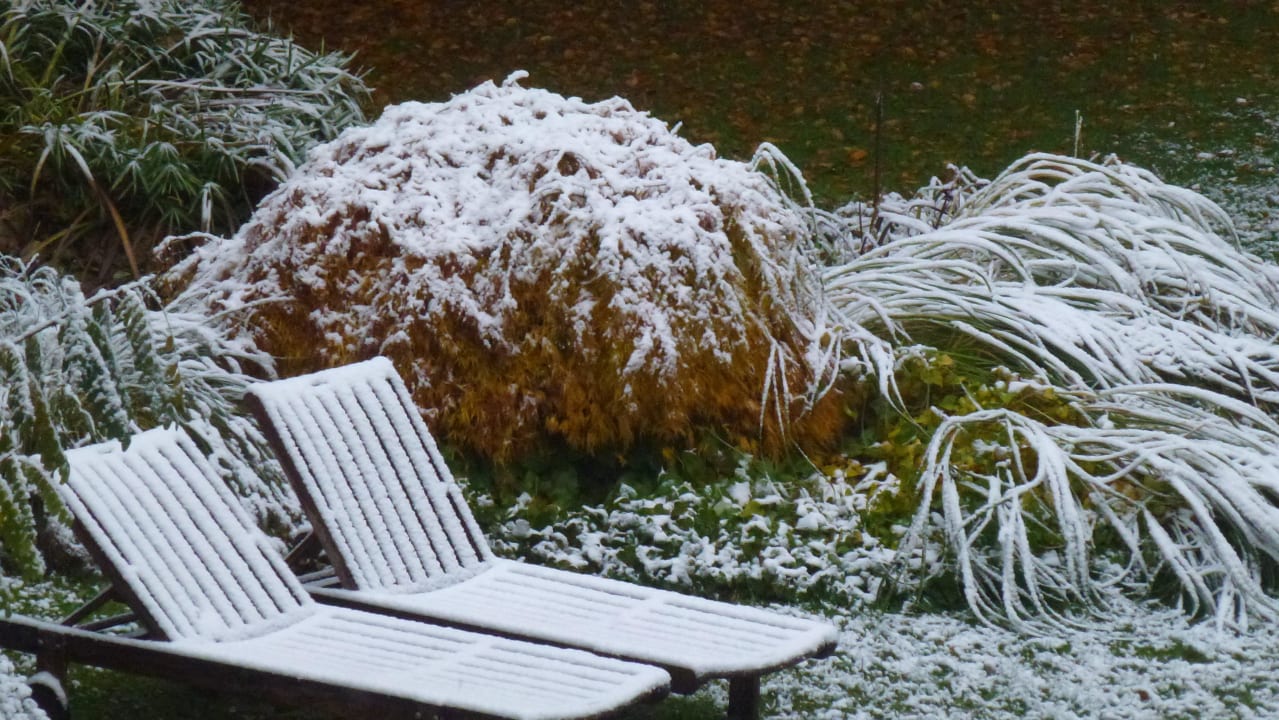 Liegen im Schnee Bio Thermalhotel Falkenhof