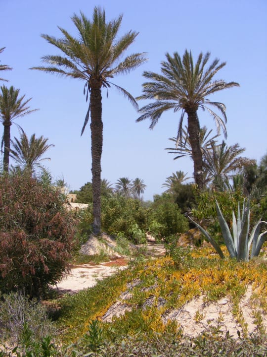 Garten Djerba Castille