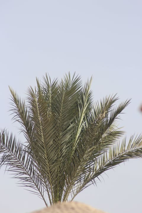 Anlage Grand Waterworld Makadi