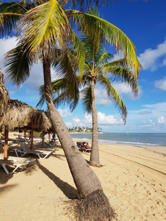 Strand Wyndham Alltra Punta Cana