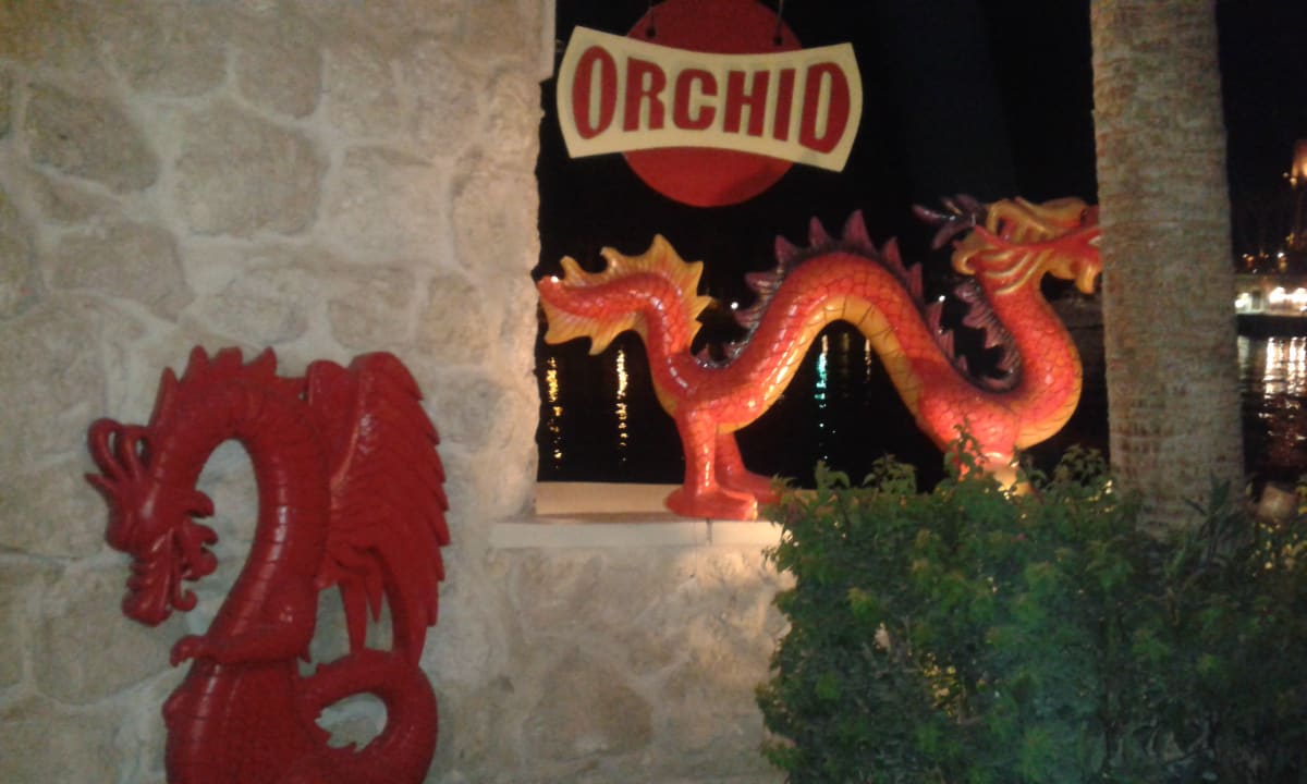 Neues Restaurant ORCHID Pickalbatros Citadel Resort