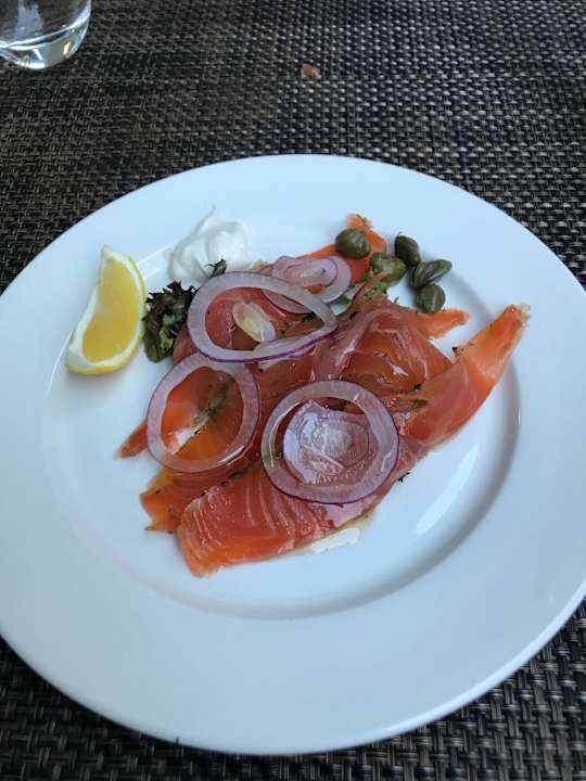 Gastro Acanthus Cennet Barut Collection