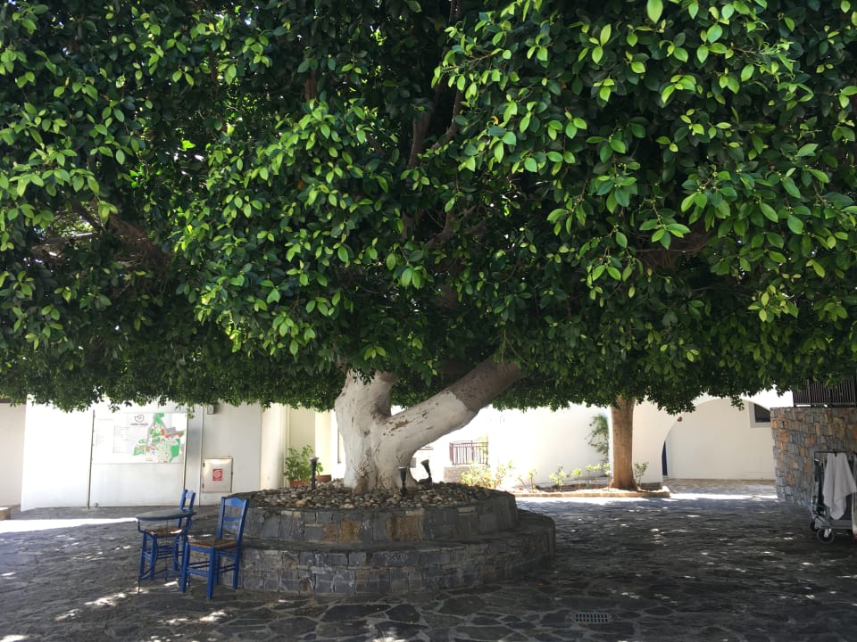 Sonstiges Creta Maris Resort