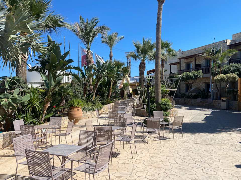 Gartenanlage Cactus Beach