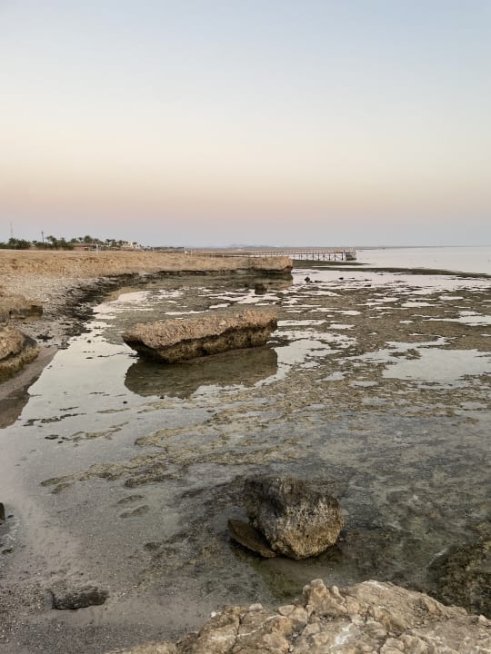 Strand Steigenberger Coraya Beach - Adults only