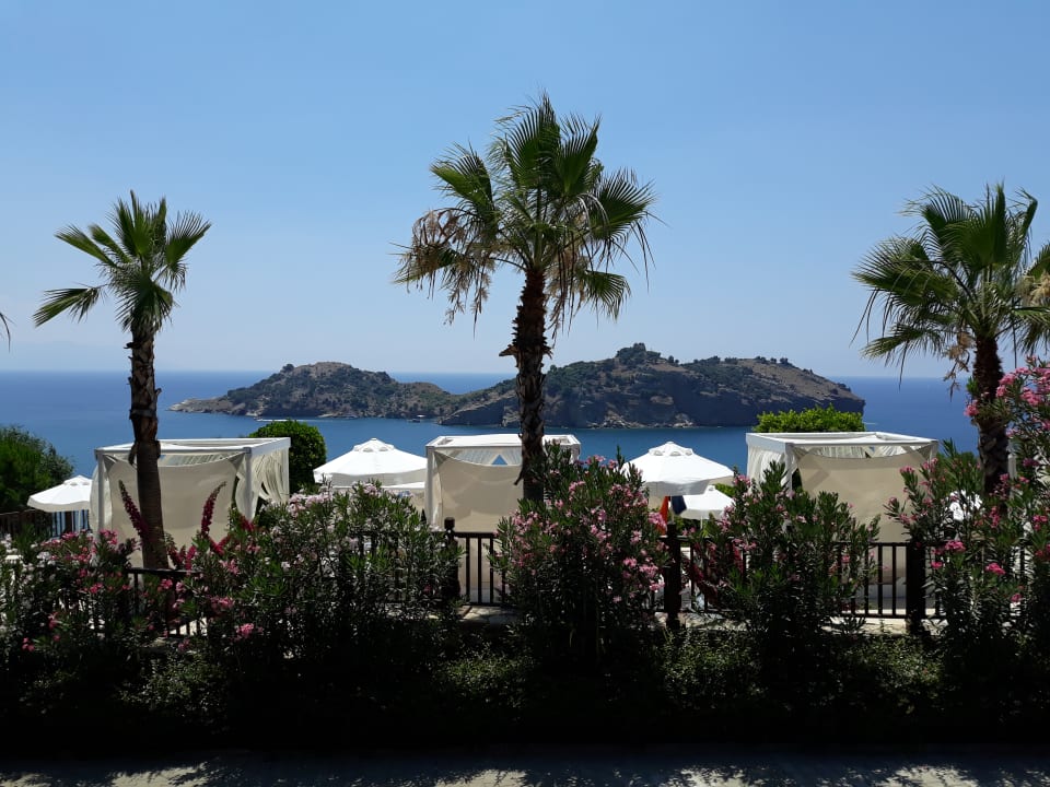 Ausblick TUI BLUE Seno - Adults Only