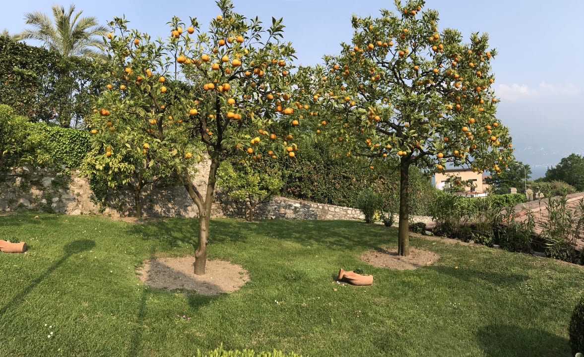 Gartenanlage Hotel Caravel
