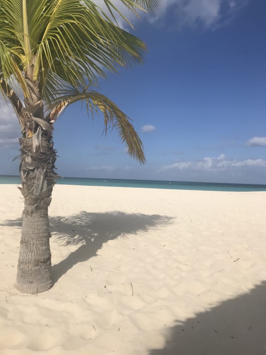 Außenansicht Manchebo Beach Resort & Spa