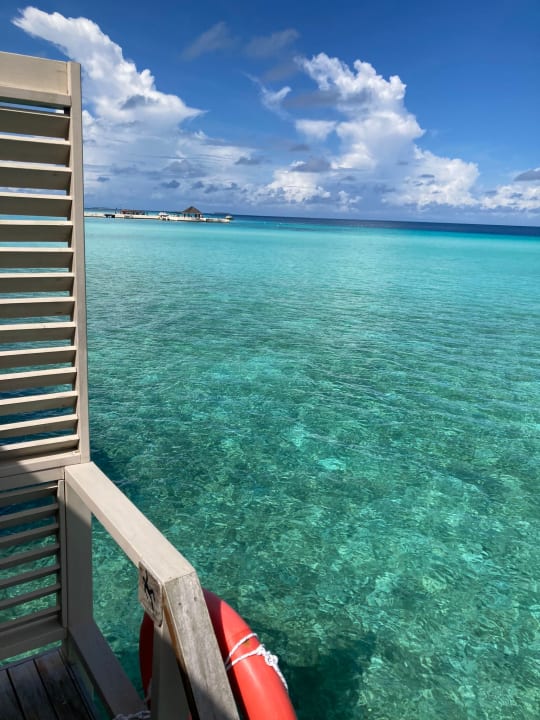 Ausblick Summer Island Maldives