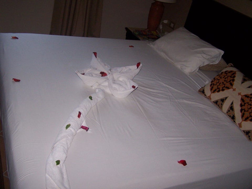 Handtuchkunst Steigenberger Coraya Beach - Adults only