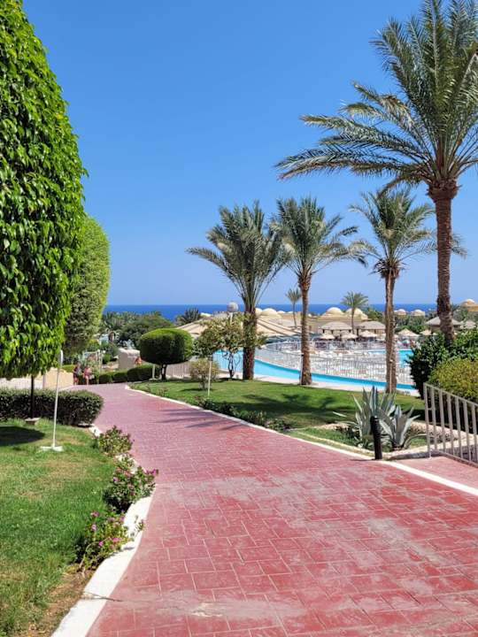 Pool Serenity Alpha Beach