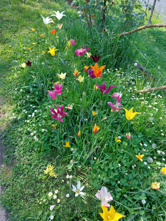 Außenansicht Parkhotel Kurhaus