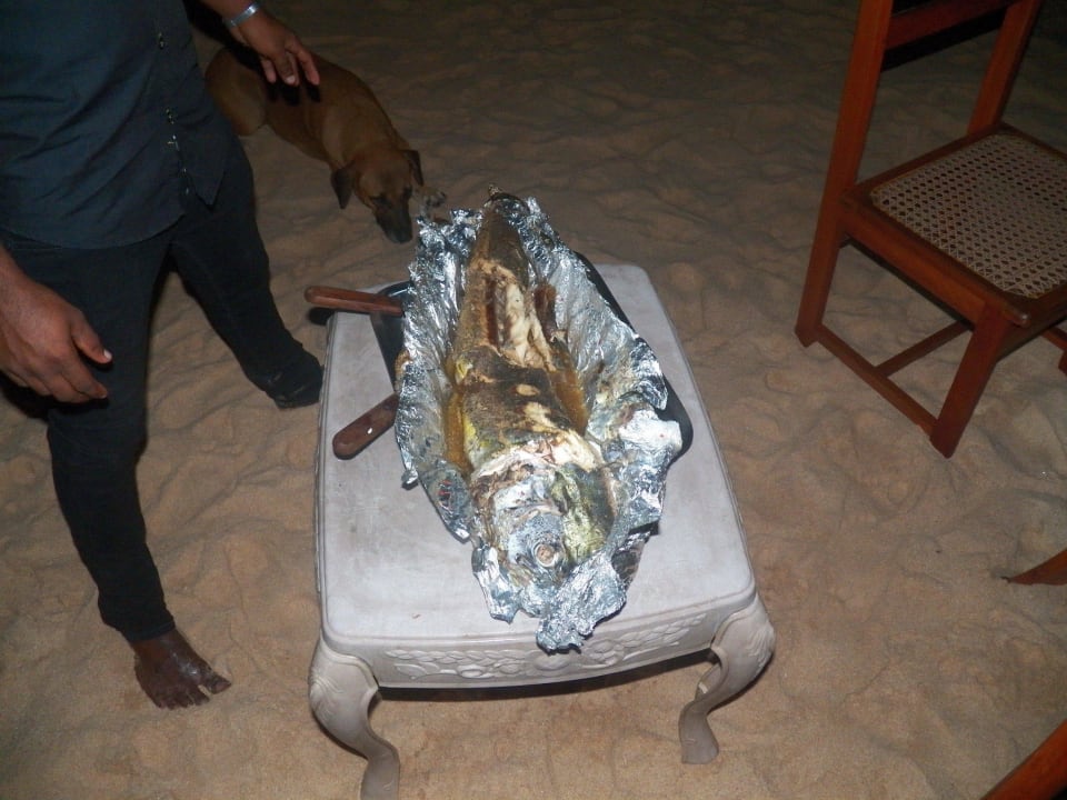 Barbecue am Strand - Butterfisch Hotel Haus am Meer Wilde Ananas